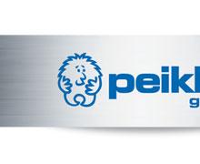 PEIKKO GROUP CORPORATION Peikko Group Corporation is a leading global supplier of concrete connections and composite structures.