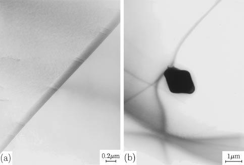 1 Microstructures Figure 1 shows a typical electron micrograph of the specimen T2 (0.025%C), heat treated by the process SA.