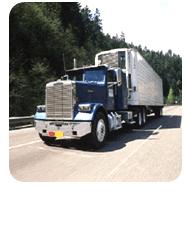 Road transportation cannot be barred from logistics services.
