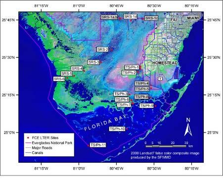 Hydrological restoration of Taylor Slough improves the distribution, community structure and viability of the southeast saline Everglades