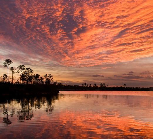 Thank You Questions? Everglades National Park Sklar, F., J.F. Meeder, T.G. Troxler, T. Dreschel, S.E. Davis and P.L. Ruiz. In Press.