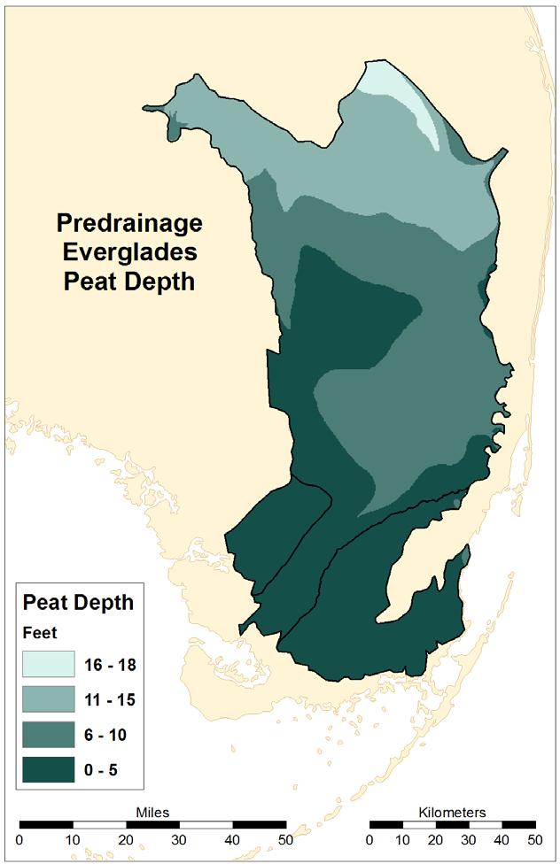 Pre-drainage Everglades (150 ybp) had a peat depth of 2 m, a peat volume of 20 billion m 3, and