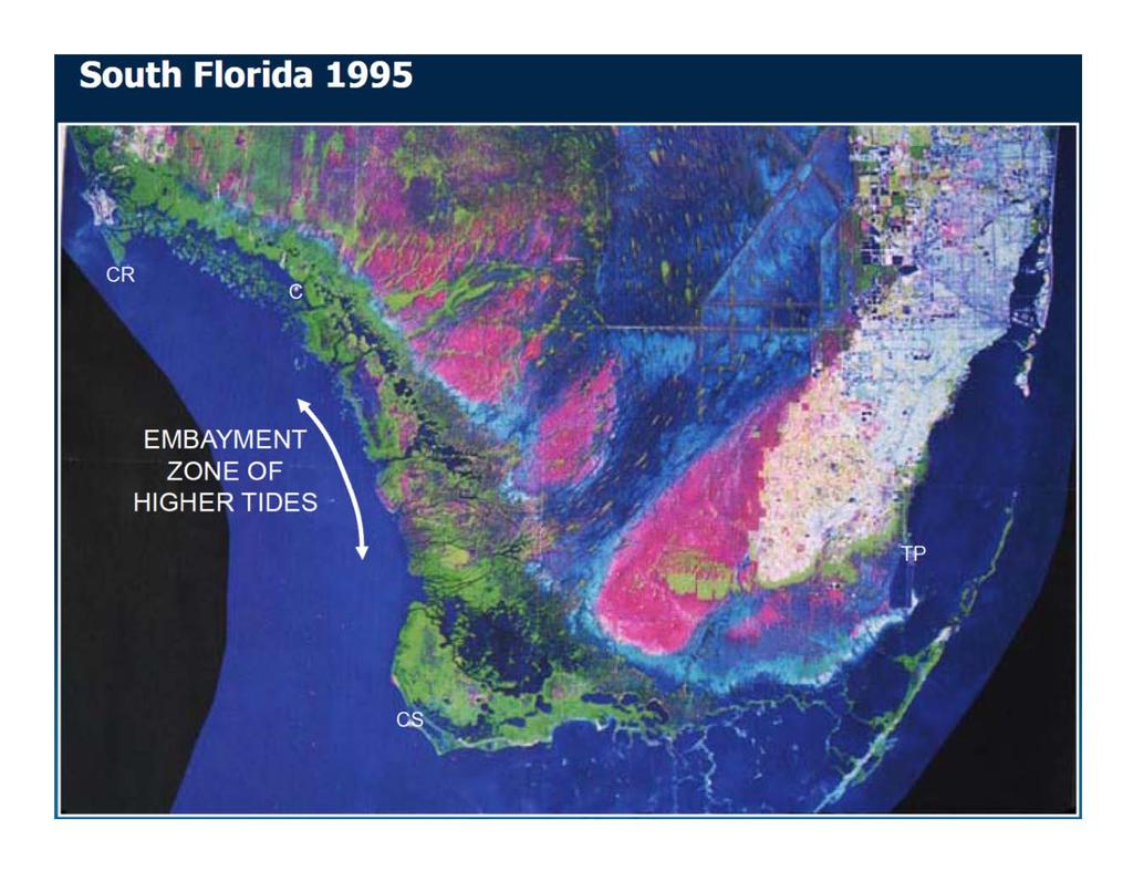 Sea level rise threatens coastal marshes Maps showing