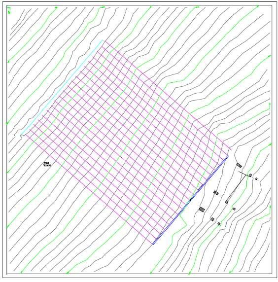 Experimental plots Soil texture: 47% clay, 28% silt, 24% sand 3 experimental plots with rows along the slope: south est aspect slope: 15% size: 74 m x 16,5 m 1 experimental plot following the contour