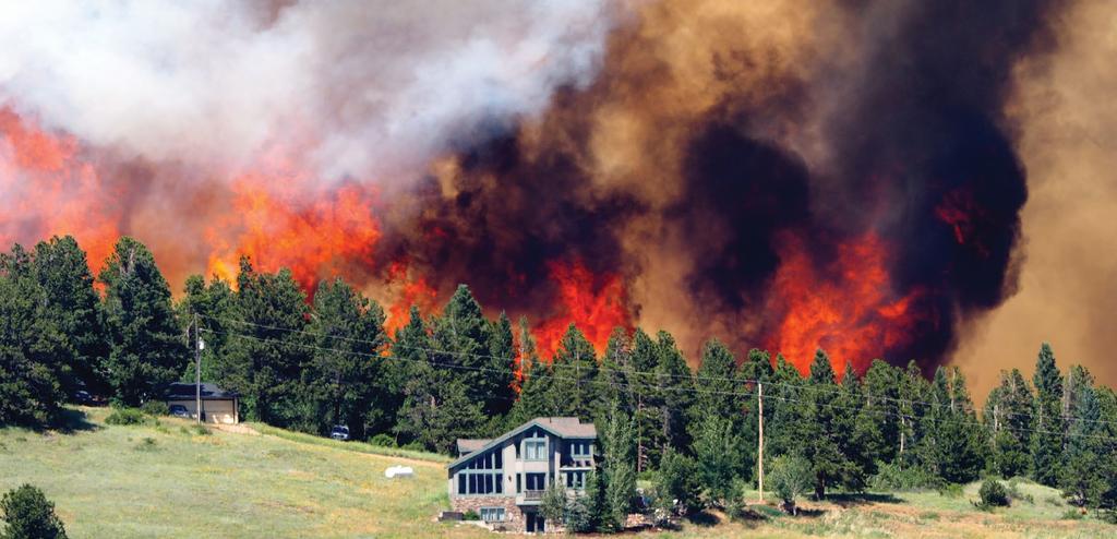 BOULDER COUNTY ecological health S U C C E S S S T O R Y WILDFIRE PARTNERS Wildfire Partners is Boulder County s program to help homeowners prepare for wildfires and create resilient communities.