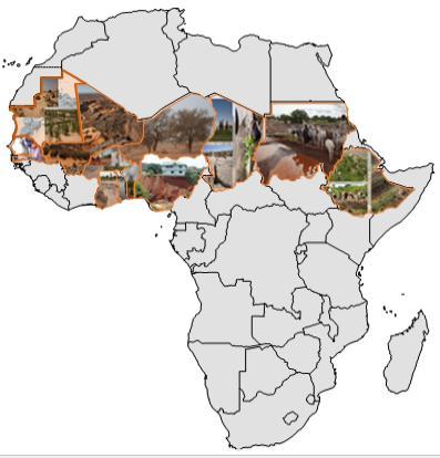 Sahel and West Africa Program in support of the Great Green Wall Uses a multi-sector, $1B IDA + $108M GEF & adaptation funds 12 country projects + 1 regional one (BRICKS)