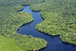 Amazon Sustainable Landscapes Program - Integrated approach for the Amazon Maintain 73 Mha of forest land