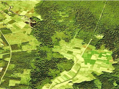 romote Forest- Smart Investments 04/05/2016 Optimize Land Use through ex ante Spatial Planning - Better understand the interlinkages between forests and other land-uses, to better inform