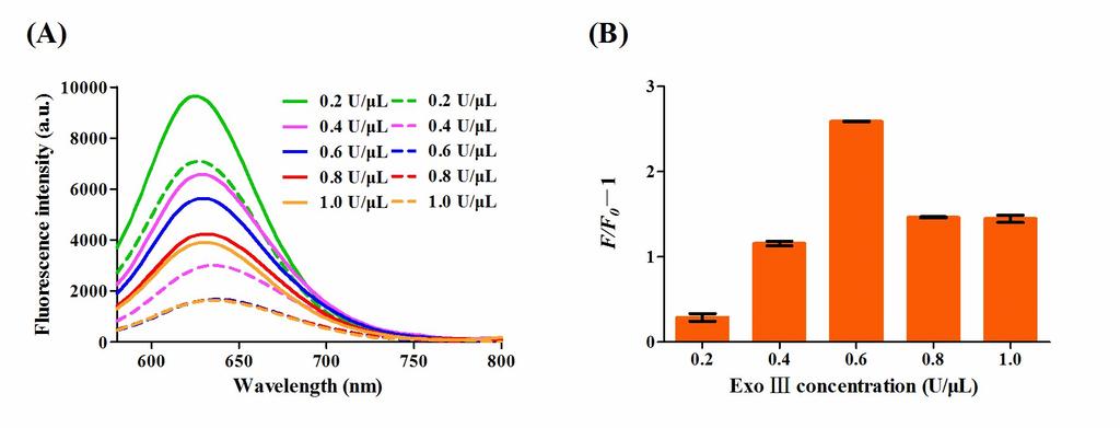 Fig. S7. Effect of Exo III concentration. (A) Fluorescence emission spectra for different concentrations of Exo III.