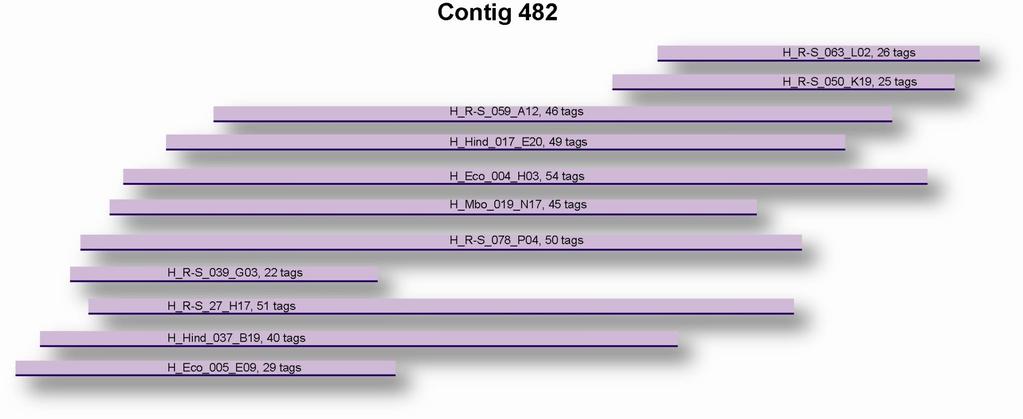 Whole Genome Profiling The Benefits 10 X BC library BC contigs & singleton BCs. verage N50 contig sizes ~ 2-4 Mbp - sequence-based physical map.