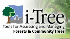 Limited Modeling Tools www.itreetools.