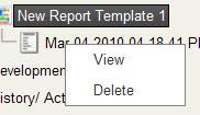 CAT Enterprise Reports Right-clicking on a report in the Reports tree will display a popup menu with two options, View and Delete, as shown in Figure 10.