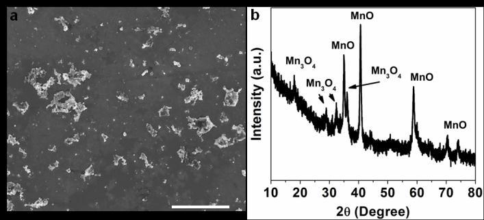 Supplementary Figure 14 SEM image and XRD pattern of MnO and Mn 3 O 4 particles which were synthesized by