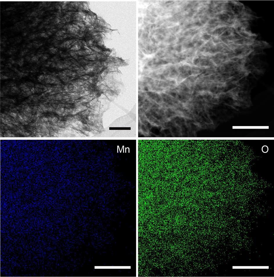 A B C D Figure S6. TEM and EDX mapping images of MnO 2 nanosheets, Related to Figure 3 (A and B) TEM (A) and high-angle annular dark field scanning TEM (B) images of MnO2 nanosheets.