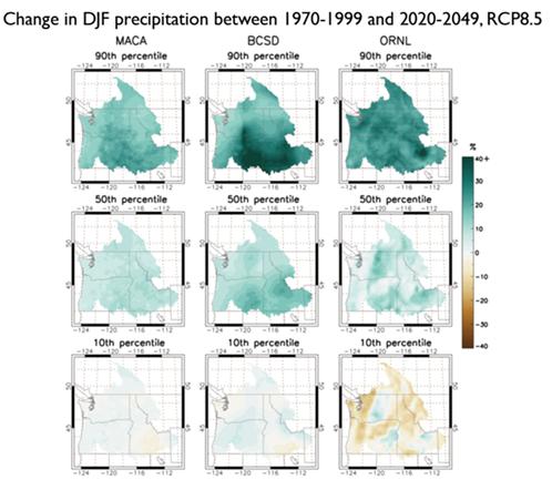 2030s Winter and Summer Precipitation Change in %