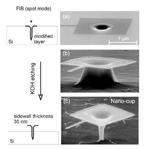 FIB Implantation Maskless Nanocup fabrication