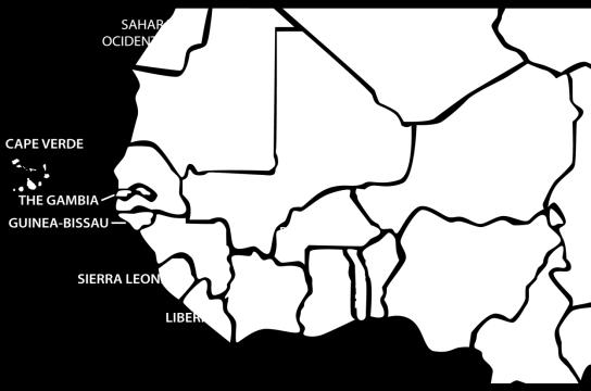 THE ECOWAS REGION 15 countries with a land area of 5 million m 2 Climate from semi-arid to humid tropical Population of over 300 million