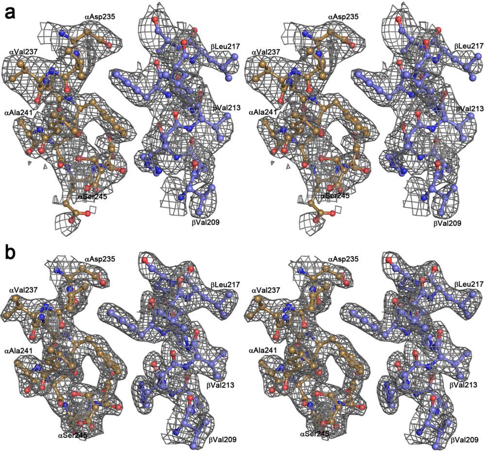 Supplementary Figure 6 Supplementary Figure 6: Stereo image of part of the (2F o -F c ) electron density map, contoured at 1 sigma, for the structures of (a) -NAD + and (b) -NAD(P) +.