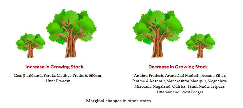 2006-07 (ISFR 2009) 2010-11 (ISFR 2013) 2015-16 (ISFR 2017) Table 2.4: All India Growing Stock (million cum) In Forest In Trees Outside Forest (TOF) Total 4498.66 1599.57 6098.23 4173.36 1484.68 5658.