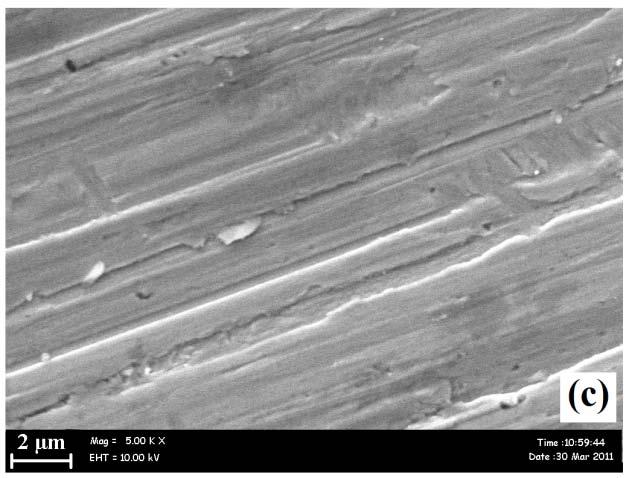 The SEM micrograph of the MoSe 2 and MoS 2 thin film deposited on