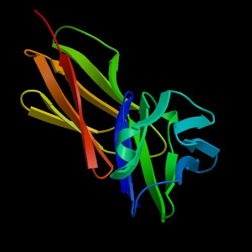 Protein 2nd structure prediction Predict the secondary structure α,β, coil of proteins from the primary sequence http://bioinf.cs.ucl.ac.