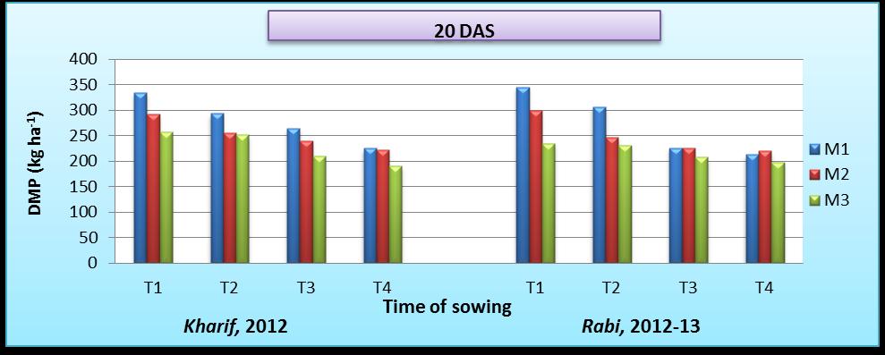 Figure 3 Effect of method of sowing and time of sowing on DMP in rice fallow blackgram The interaction effect of methods and time of sowing significantly influenced the dry matter production.