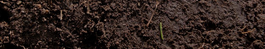 and sandy soils such as minelands Consider the characteristics the biochar, soil, and vegetation grown when selecting best biochar for a