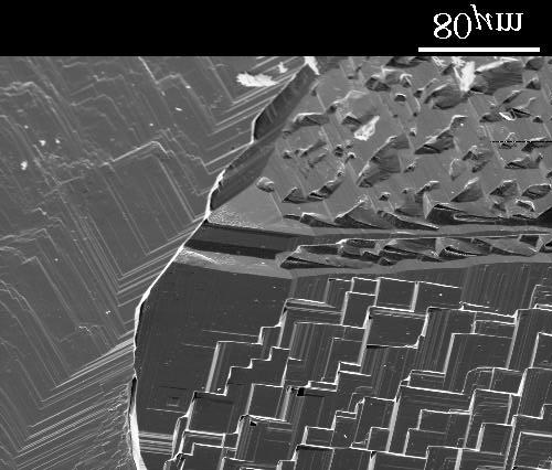 Film MG-Si Fig. 7. Epitaxial silicon electrodeposited onto MG-Si. (111) terraced growth on adjacent grains with different orientations is shown.