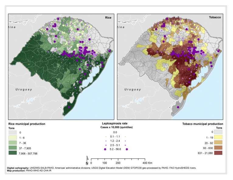 Results- Productive Process Incidence rate for leptospirosis and rice paddy plantation, and tobbacco plantation Rio Grande do Sul, 2008-2012 Multivariable
