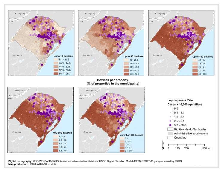 Results - Productive Process Incidence rate for leptospirosis and number of bovines per property, Rio Grande do Sul, 2008-2012 Univariable analysis: More then 50.