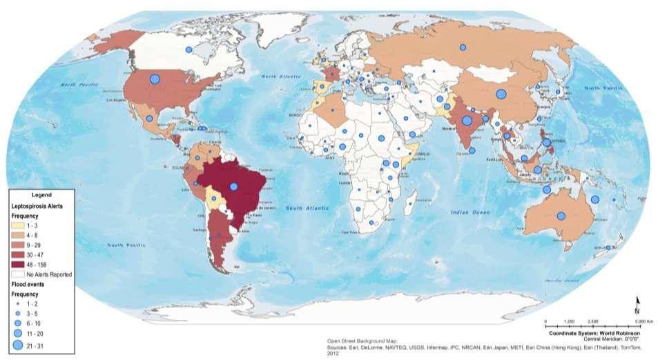 Global Situation of Leptospirosis Americas Lepto alerts = 341 Floods = 99 Leptospirosis is an epidemic-prone Source: HealthMap and