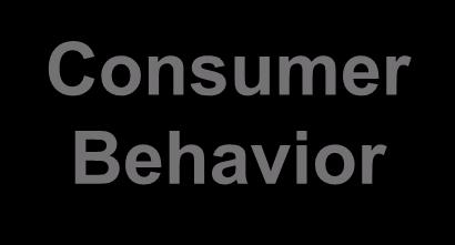 Consumer Behavior Consumer Behavior Processes a consumer