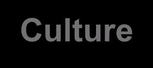 Culture and Values Culture Set of values, norms,