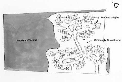 As with the other case studies presented, the LID subdivision proposed a clustered approach comprising 55 lots (shown on SMG-6 Figure F.6c LID Subdivision Design).