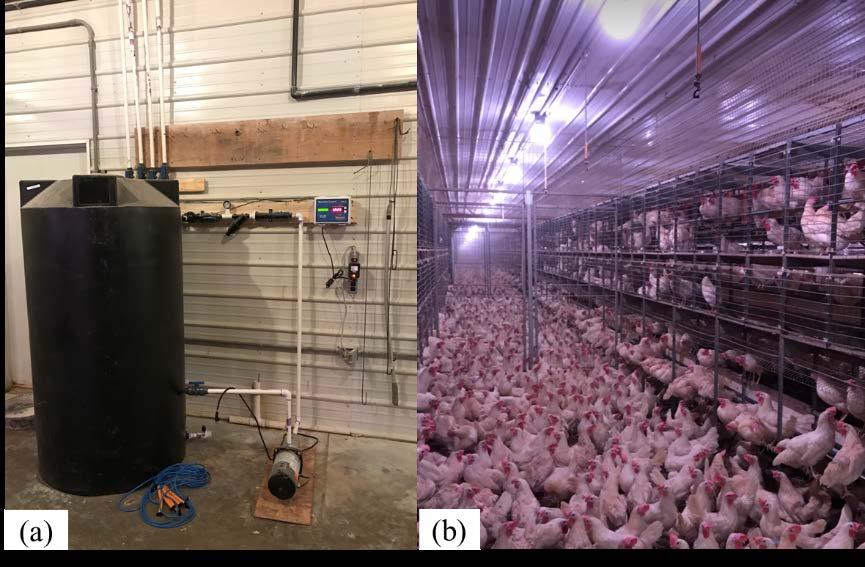 hens more space and opportunities to exercise their natural behaviors (Xin, 2016).