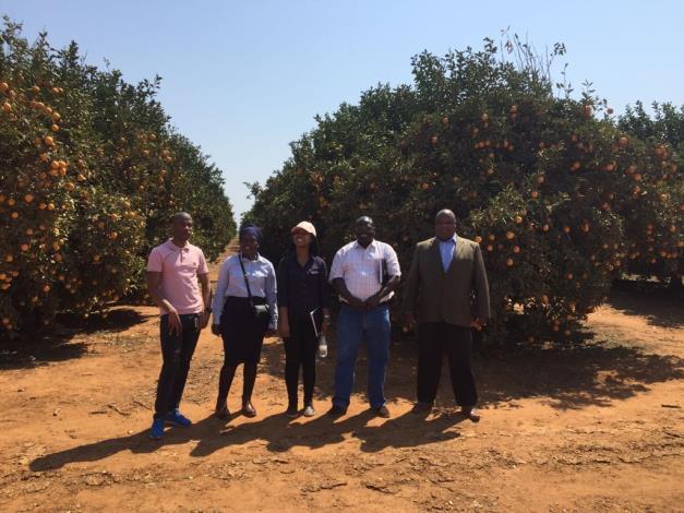 1. THE NAMC TOGETHER WITH THE CGA GROWERS DEVELOPMENT COMPANY VISITS THE MABUNDA CITRUS FARM IN THE LIMPOPO PROVINCE By BM Mpyana agreement which equates the farm to a total area of 722 ha.