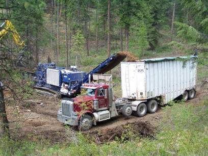 Integrating Large-Scale Biomass Harvesting into the US Wood Supply System Wood