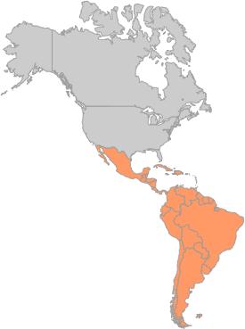 LACNIC SERVICE REGION LACNIC serves 29 territories in Latin American and part of the Caribbean ARGENTINA GUYANA ARUBA HAITI BELIZE HONDURAS BOLIVIA MEXICO BRAZIL NETHERLANDS ANTILLES CHILE NICARAGUA