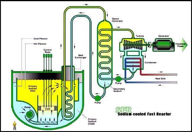 Closed fuel cycle Sodium Fast