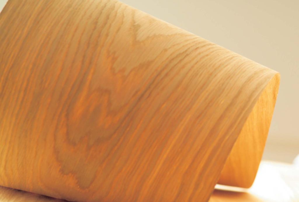 Danzer Group at a glance Business units Veneer Lumber Timber Vinterio Market position Largest producer of sliced hardwood veneer worldwide One of the top 10 producers of hardwood lumber in North