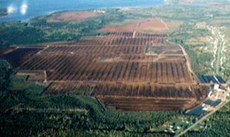 Peatland uses in Canada 81% Virgin Peatlands 15% Agriculture 0.8% Urban Development 0.