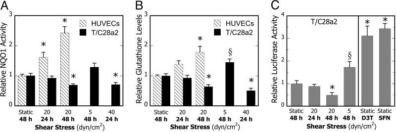 Fig. 1. Phenotype-specific effects of shear stress duration and intensity on phase 2 response.