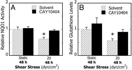 Fig. 2. Effects of phase 2 induction on shear-dependent phase 2 response in chondrocytes. Cells were treated with DMSO (0.1%), SFN (1.