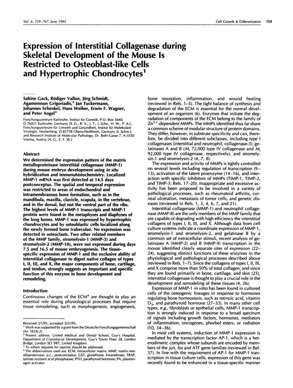 Vol. 6, 759-767, June 1995 Cell Growth & Differentiation 759 Expression of Interstitial Collagenase during Skeletal Development of the Mouse Is Restricted to Osteoblast-like Cells and Hypertrophic