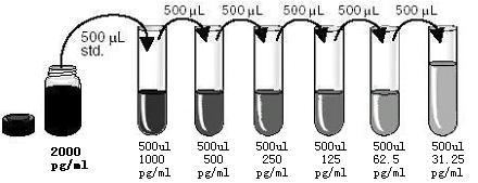 Figure 2: Preparation of IL-8 standard dilutions GENERAL ELISA PROTOCOL 1. Prepare all reagents and working standards as directed in the previous sections. 2. Determine the number of microwell strips required to test the desired number of samples plus appropriate number of wells needed for running blanks and standards.