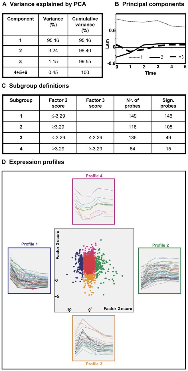 cartilage, MSCs will have to activate genes that induce later stages of hypertrophy. Discussion Figure 3. Analysis of changes in gene expression by microarray.
