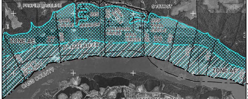 portion of the above referenced flood map. It was extracted using F-MIT On-Line.