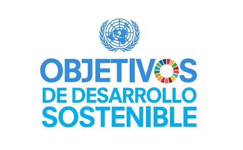 Implementing the 2030 Agenda: Opportunities for SDG audits and