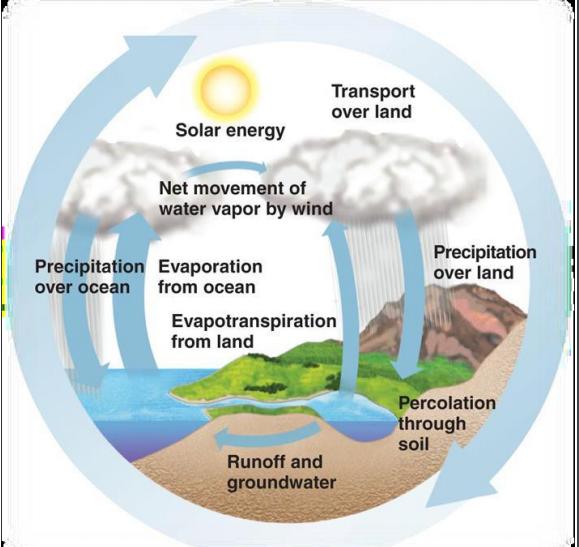 The Water Cycle What drives the water cycle? Fill in the blank: condensation. transpiration evaporation. precipitation. During, water molecules in liquid state escapes into the air as water vapor.