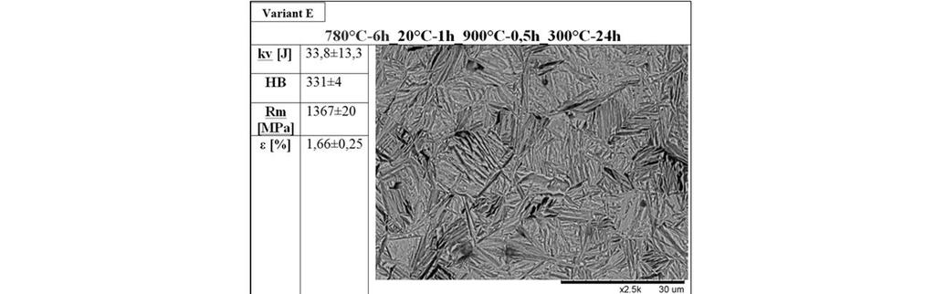 3.3. Study of microstructure Figure 8 shows the SEM images of microstructures received after heat treatment processes.